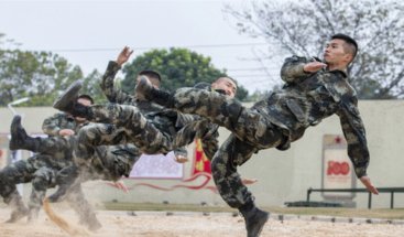 董训：无需“训练”，自我成长足矣
