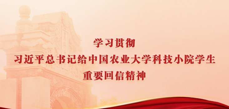 中国应该学美国，搞体育靠民间自负盈亏，国家不要参与，让体育真正的职业化