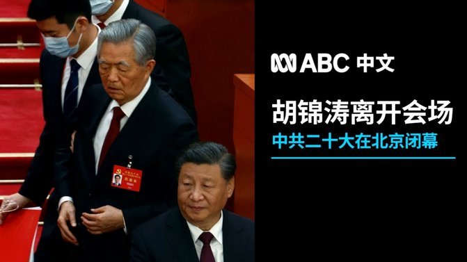 褪去争议：佩德里回应批评，信赖自我提升的节奏
