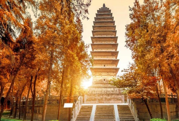 河南队终结17年正式比赛客场不胜山东泰山纪录，期间6平12负