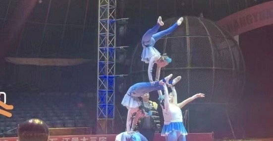 不要再关注马戏团的闹剧了，把眼光投向国内的体教结合青训吧！好消息越来越多了！