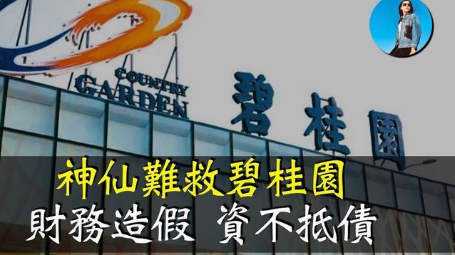 申花球迷冲突背后的情绪与争议
