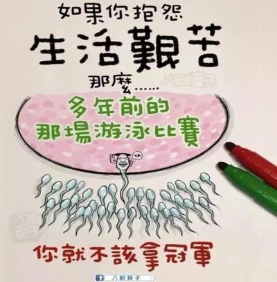 这位申花网红球迷到底受了多大的刺激