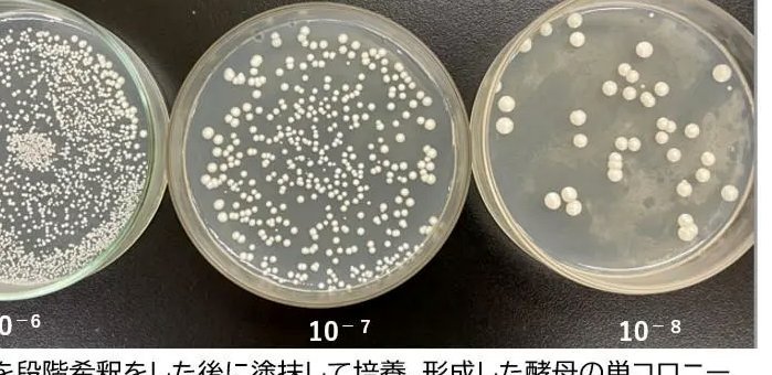 伯恩利草皮染绿米堡白色球衣，米德尔斯堡拟向联赛索赔