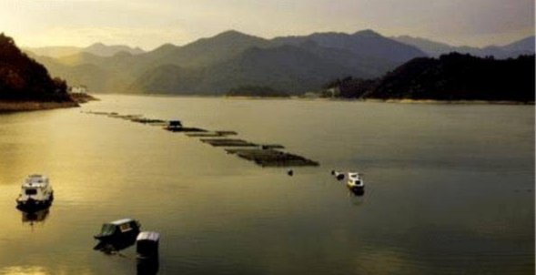 浙江舟山群岛的秘密岛屿——托里奇探秘