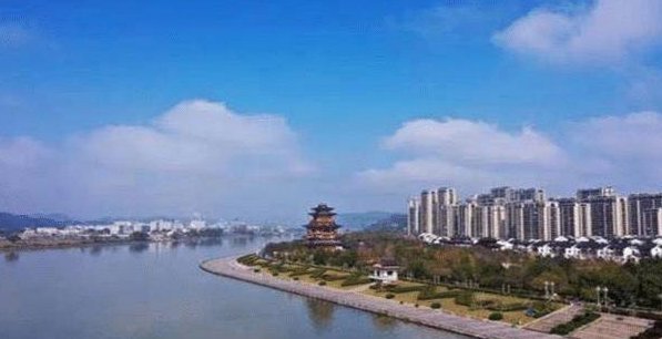 这个浙江的托里奇是什么来路？